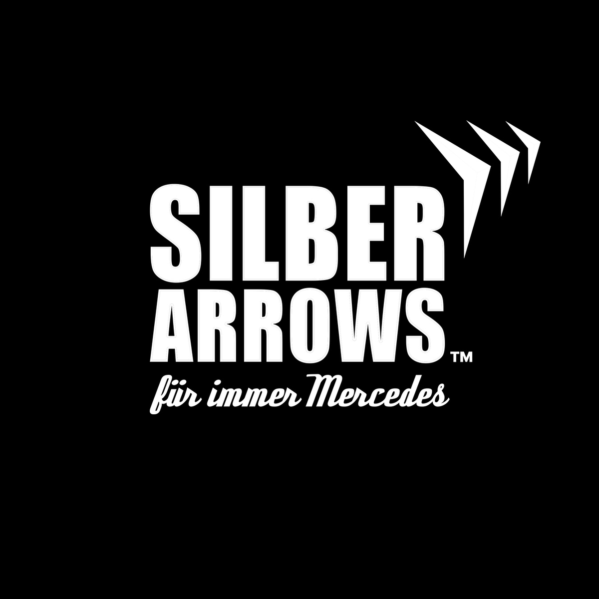 SILBER ARROWS 1934 AUTO REPAIRING L.L.C
